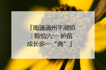 南通通州平潮镇：粽情六一 护苗成长多一“典”