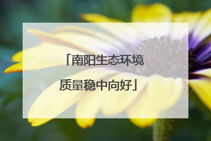 南阳生态环境质量稳中向好