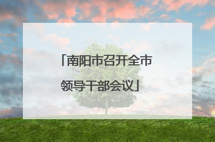 南阳市召开全市领导干部会议