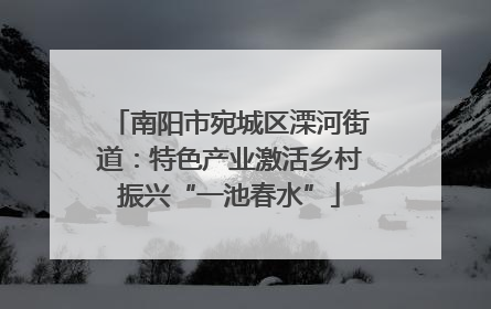 南阳市宛城区溧河街道：特色产业激活乡村振兴“一池春水”
