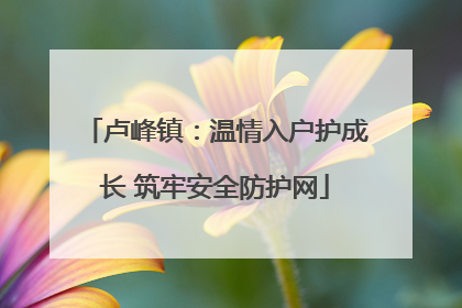 卢峰镇：温情入户护成长 筑牢安全防护网