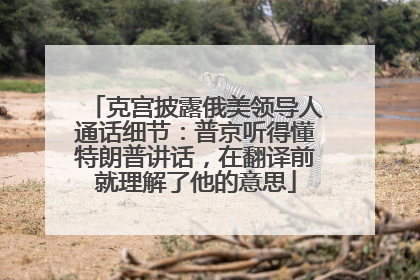 克宫披露俄美领导人通话细节：普京听得懂特朗普讲话，在翻译前就理解了他的意思