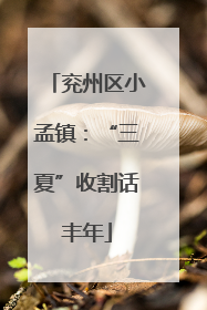 兖州区小孟镇：“三夏”收割话丰年