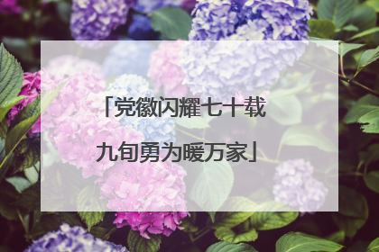 党徽闪耀七十载 九旬勇为暖万家