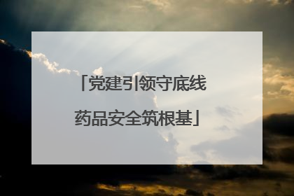 党建引领守底线 药品安全筑根基