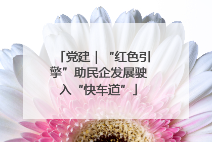 党建｜“红色引擎”助民企发展驶入“快车道”