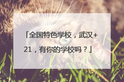 全国特色学校，武汉+21，有你的学校吗？