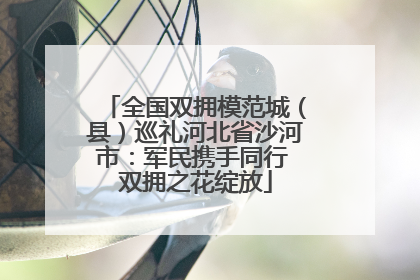 全国双拥模范城（县）巡礼河北省沙河市：军民携手同行 双拥之花绽放