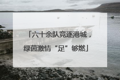 六十余队竞逐港城，绿茵激情“足”够燃