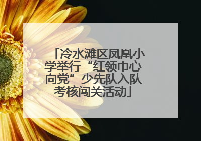 冷水滩区凤凰小学举行“红领巾心向党”少先队入队考核闯关活动