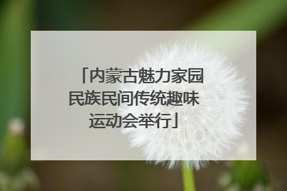 内蒙古魅力家园民族民间传统趣味运动会举行