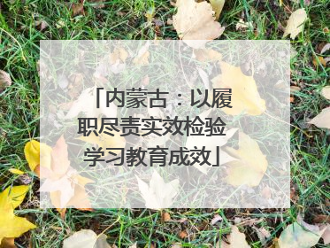 内蒙古：以履职尽责实效检验学习教育成效
