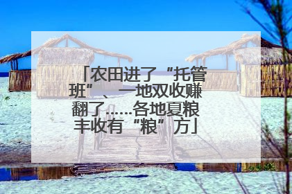 农田进了“托管班”、一地双收赚翻了……各地夏粮丰收有“粮”方