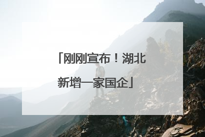 刚刚宣布！湖北新增一家国企