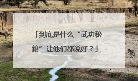 到底是什么“武功秘籍”让他们都说好？