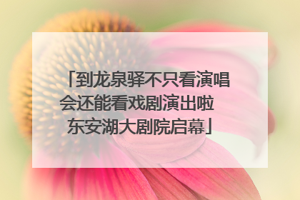 到龙泉驿不只看演唱会还能看戏剧演出啦 东安湖大剧院启幕