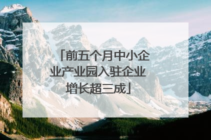 前五个月中小企业产业园入驻企业增长超三成
