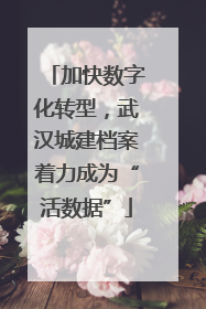 加快数字化转型，武汉城建档案着力成为“活数据”