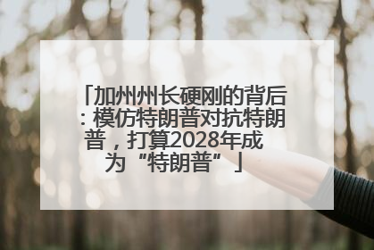 加州州长硬刚的背后：模仿特朗普对抗特朗普，打算2028年成为“特朗普”