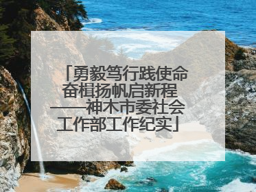 勇毅笃行践使命 奋楫扬帆启新程——神木市委社会工作部工作纪实