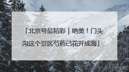 北京号最精彩｜绝美！门头沟这个景区芍药已花开成海