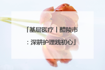 基层医疗丨醴陵市：深耕护理践初心