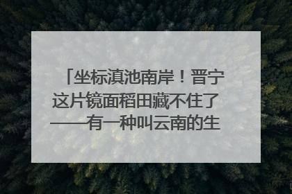 坐标滇池南岸！晋宁这片镜面稻田藏不住了——有一种叫云南的生活之365天