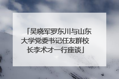 吴晓军罗东川与山东大学党委书记任友群校长李术才一行座谈