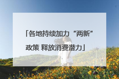各地持续加力“两新”政策 释放消费潜力