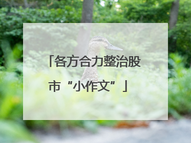 各方合力整治股市“小作文”