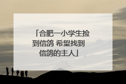 合肥一小学生捡到信鸽 希望找到信鸽的主人