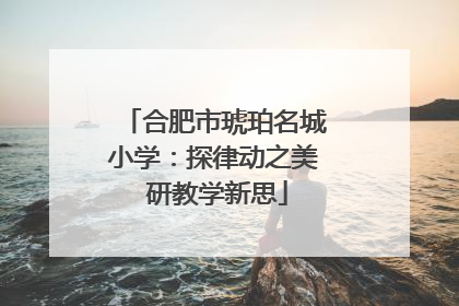 合肥市琥珀名城小学：探律动之美 研教学新思