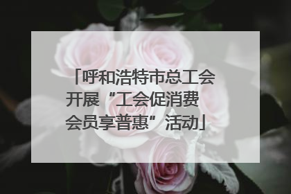 呼和浩特市总工会开展“工会促消费 会员享普惠”活动