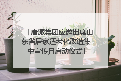唐派集团应邀出席山东省居家适老化改造集中宣传月启动仪式