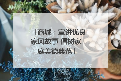 商城：宣讲优良家风故事 倡树家庭美德典范