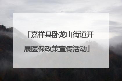 嘉祥县卧龙山街道开展医保政策宣传活动