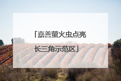 嘉善萤火虫点亮长三角示范区