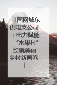 国网城东供电支公司：电力赋能“水果村” 绘就美丽乡村新画卷