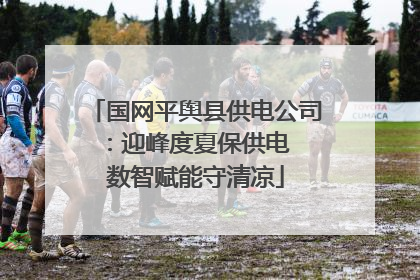 国网平舆县供电公司：迎峰度夏保供电  数智赋能守清凉