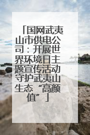 国网武夷山市供电公司：开展世界环境日主题宣传活动守护武夷山生态“高颜值”