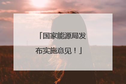 国家能源局发布实施意见！