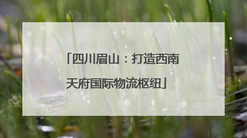 四川眉山：打造西南天府国际物流枢纽