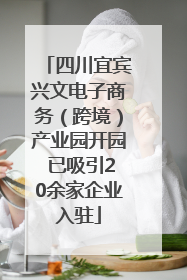 四川宜宾兴文电子商务（跨境）产业园开园 已吸引20余家企业入驻