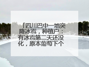 四川巴中一地突降冰雹，种植户：有冰雹第二天还没化，原本葡萄下个月上市，现在全被打落