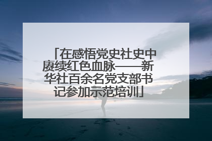 在感悟党史社史中赓续红色血脉——新华社百余名党支部书记参加示范培训