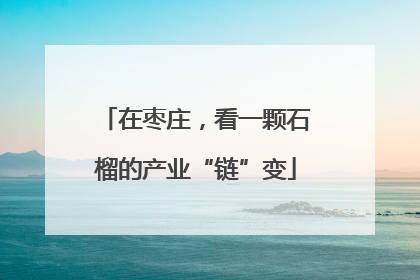 在枣庄，看一颗石榴的产业“链”变