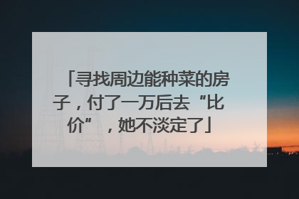 寻找周边能种菜的房子，付了一万后去“比价”，她不淡定了