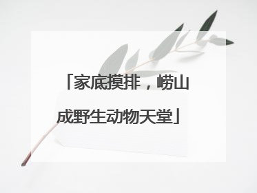 家底摸排，崂山成野生动物天堂