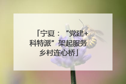 宁夏：“党建+科特派”架起服务乡村连心桥