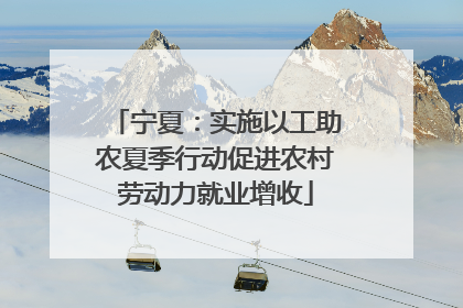 宁夏：实施以工助农夏季行动促进农村劳动力就业增收